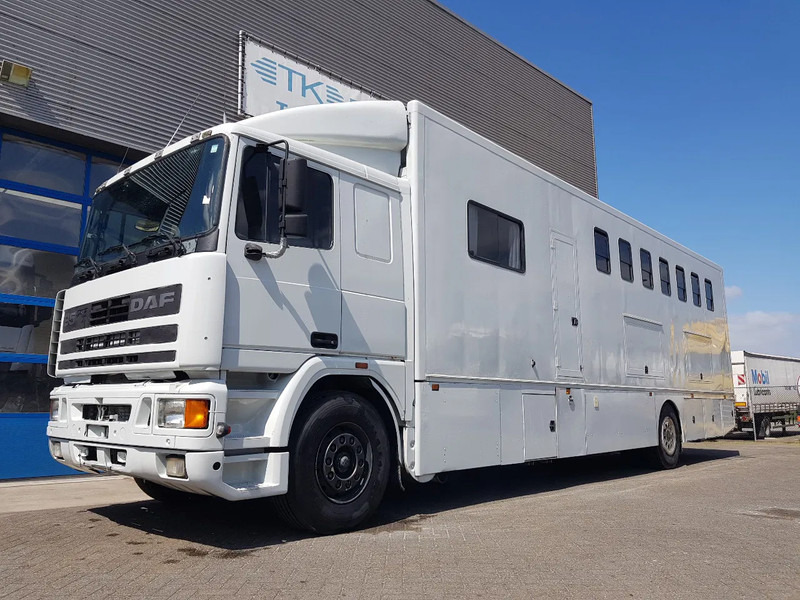 DAF 95.350 Paardenwagen met zitverblijf 7 paarden 7 horses - Auto na přepravu koní: obrázek 1 DAF 95.350 Paardenwagen met zitverblijf 7 paarden 7 horses - Auto na přepravu koní: obrázek 1