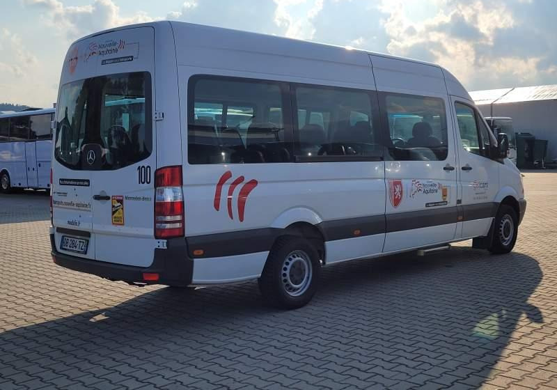 Minibus, Mikrobus Mercedes-Benz 513 SPRINTER TRANSFER / SPROWADZONY/ MANUAL: obrázek 20