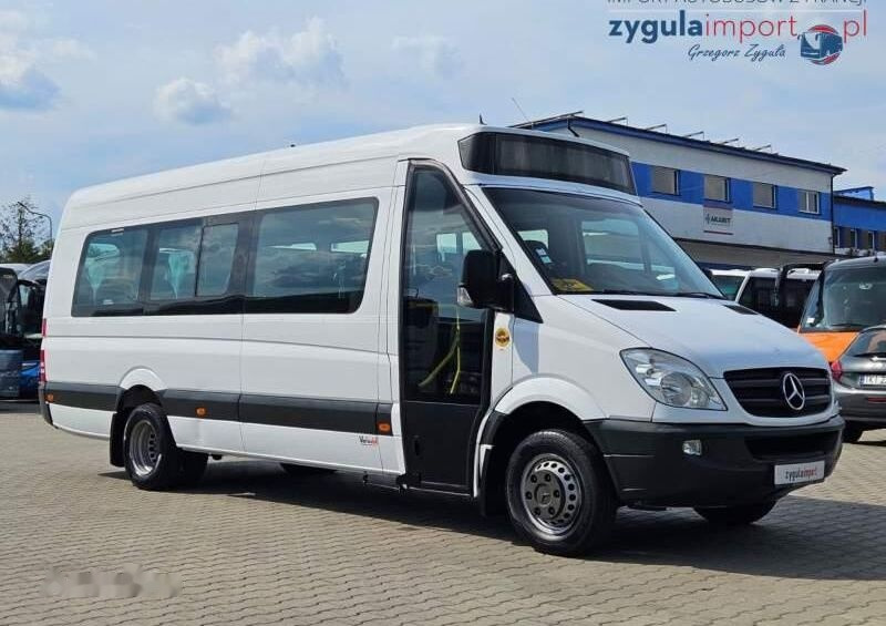 Minibus, Mikrobus Mercedes-Benz SPRINTER 513: obrázek 1