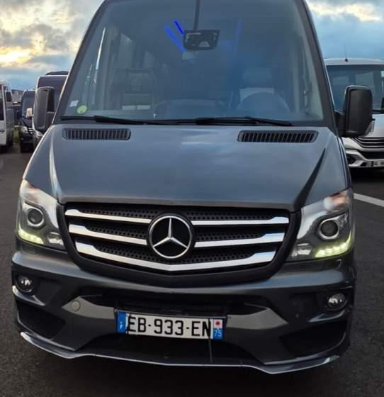 Mercedes-Benz SPRINTER 516 BLUETEC / SPROWADZONY / 86 000 KM - Minibus, Mikrobus: obrázek 2 Mercedes-Benz SPRINTER 516 BLUETEC / SPROWADZONY / 86 000 KM - Minibus, Mikrobus: obrázek 2