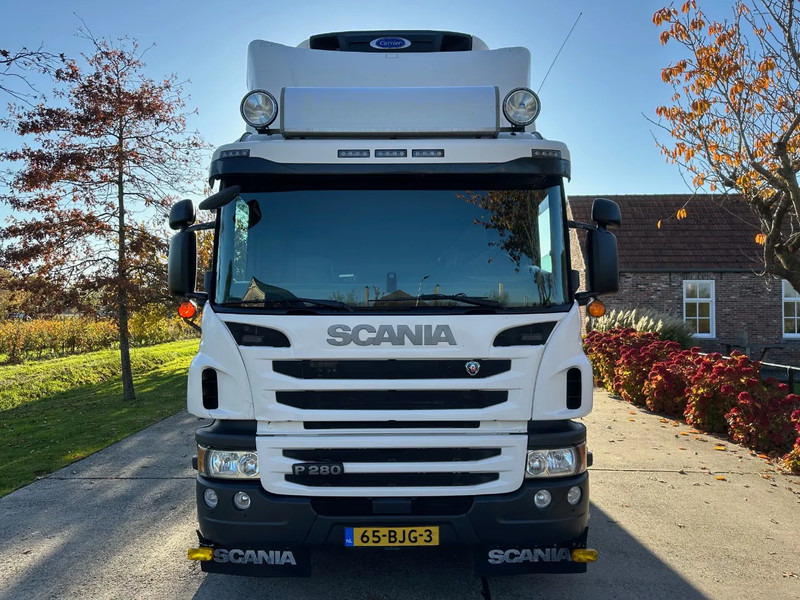 Scania P280 / NL TRUCK / EURO 6 / FULL AIR / CARRIER SUPRA 1250 / TOPCONDITION / LIFT+DOORS - Chladírenský nákladní automobil: obrázek 2 Scania P280 / NL TRUCK / EURO 6 / FULL AIR / CARRIER SUPRA 1250 / TOPCONDITION / LIFT+DOORS - Chladírenský nákladní automobil: obrázek 2