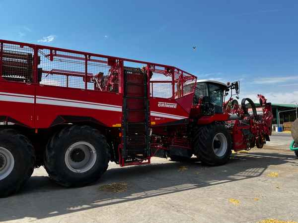 Grimme REXOR 6300 Platinum - Sklízeč cukrové řepy: obrázek 1 Grimme REXOR 6300 Platinum - Sklízeč cukrové řepy: obrázek 1