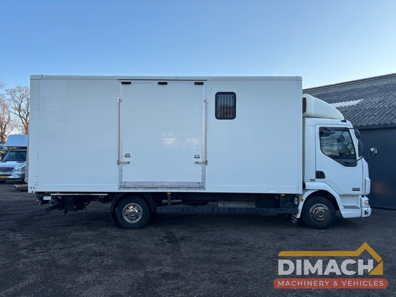 DAF FA LF45.150 4 paards, laadlift. Horsetruck NL truck - Auto na přepravu koní: obrázek 4 DAF FA LF45.150 4 paards, laadlift. Horsetruck NL truck - Auto na přepravu koní: obrázek 4
