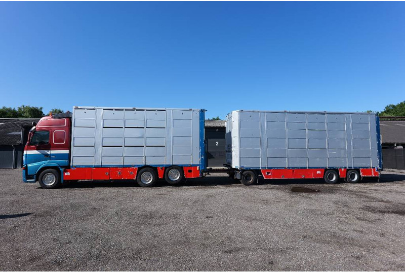 Volvo FH 13 480 6x2 3 stock livestock transport Cuppers - Přepravník zvířat: obrázek 1 Volvo FH 13 480 6x2 3 stock livestock transport Cuppers - Přepravník zvířat: obrázek 1
