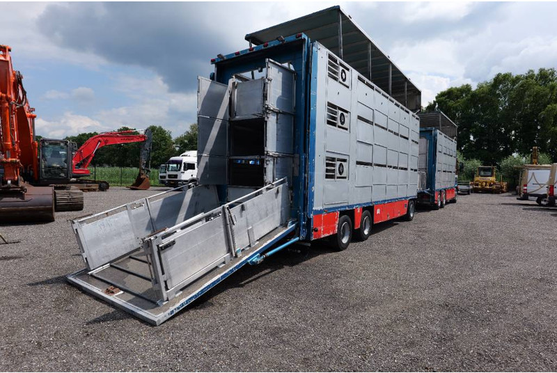 Volvo FH 13 480 6x2 3 stock livestock transport Cuppers - Přepravník zvířat: obrázek 3 Volvo FH 13 480 6x2 3 stock livestock transport Cuppers - Přepravník zvířat: obrázek 3