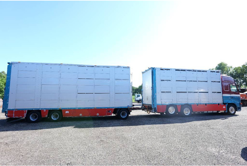 Volvo FH 13 480 6x2 3 stock livestock transport Cuppers - Přepravník zvířat: obrázek 4 Volvo FH 13 480 6x2 3 stock livestock transport Cuppers - Přepravník zvířat: obrázek 4