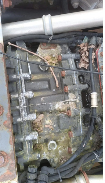 Renault Premium 420 Dci Engine + Automatic Gearbox - Motor pro Nákladní auto: obrázek 5 Renault Premium 420 Dci Engine + Automatic Gearbox - Motor pro Nákladní auto: obrázek 5