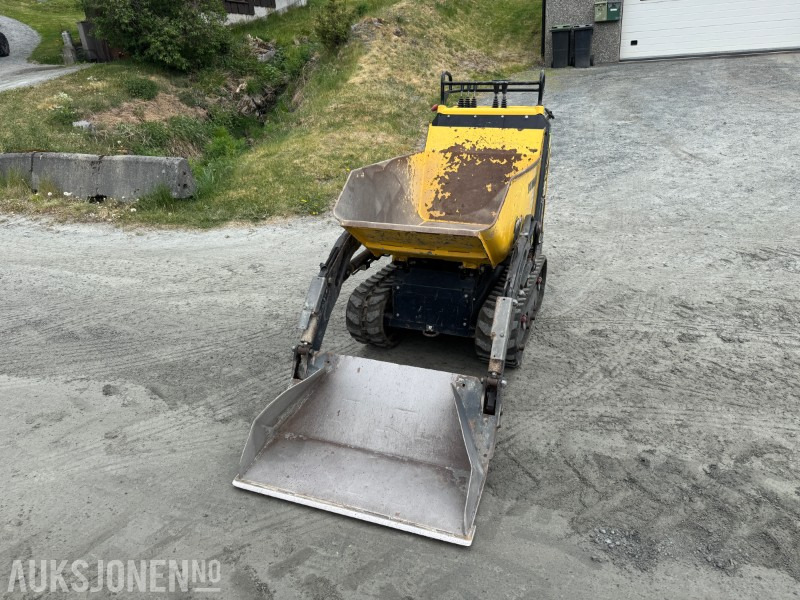 2020 Yanmar C08 Beltedumper / Minidumper / Selvlastende - Dampr: obrázek 2 2020 Yanmar C08 Beltedumper / Minidumper / Selvlastende - Dampr: obrázek 2