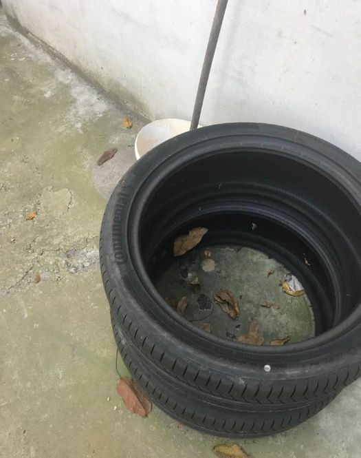 Anvelope Continental NOI ContisportContact 255 / 40 ZR 21 - Pneumatiky pro Osobní auto: obrázek 1 Anvelope Continental NOI ContisportContact 255 / 40 ZR 21 - Pneumatiky pro Osobní auto: obrázek 1