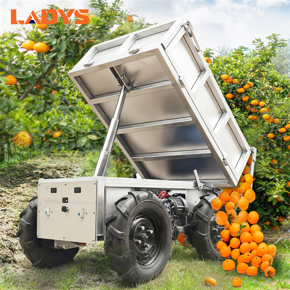 LADYS All-Terrain Four-Wheel Drive And Eight-Wheel Drive Transport Truck, Mountain Area Farm Orchard Greenhouse Construction Site Creeper Remote Control Electric Agricultural Transport Vehicle - Čtyřkolka: obrázek 2 LADYS All-Terrain Four-Wheel Drive And Eight-Wheel Drive Transport Truck, Mountain Area Farm Orchard Greenhouse Construction Site Creeper Remote Control Electric Agricultural Transport Vehicle - Čtyřkolka: obrázek 2