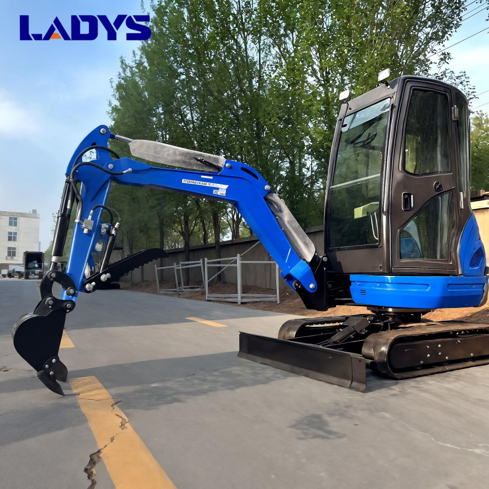 LADYS DY25U Mini Excavator CE Certification Kubota Engine(Factory Outlet) Mini Pelle Minibagger Minikoparka Miniexcavadora - Mini rýpadlo: obrázek 4 LADYS DY25U Mini Excavator CE Certification Kubota Engine(Factory Outlet) Mini Pelle Minibagger Minikoparka Miniexcavadora - Mini rýpadlo: obrázek 4