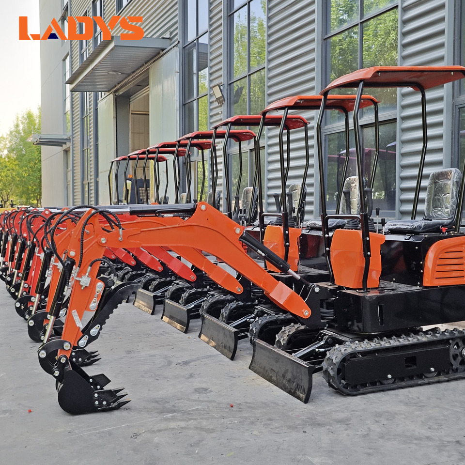 LADYS Mini Excavator CE Certification Kubota Engine(Factory Outlet) Mini Pelle Minibagger Minikoparka Miniexcavadora - Mini rýpadlo: obrázek 1 LADYS Mini Excavator CE Certification Kubota Engine(Factory Outlet) Mini Pelle Minibagger Minikoparka Miniexcavadora - Mini rýpadlo: obrázek 1
