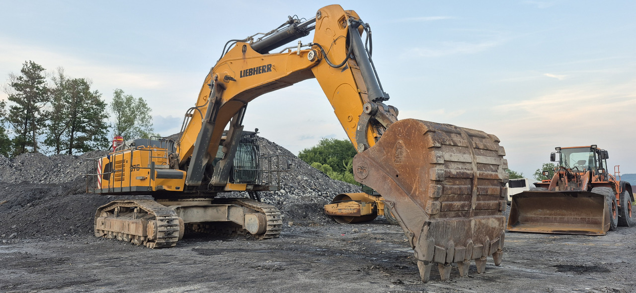 Pásové rýpadlo LIEBHERR R976 HD: obrázek 7