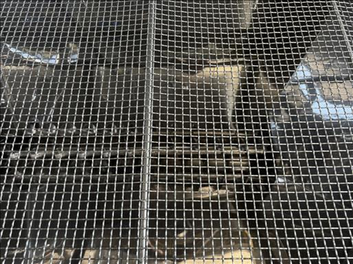 NNP Hopper and elevator screw conveyor - Dopravník: obrázek 5 NNP Hopper and elevator screw conveyor - Dopravník: obrázek 5