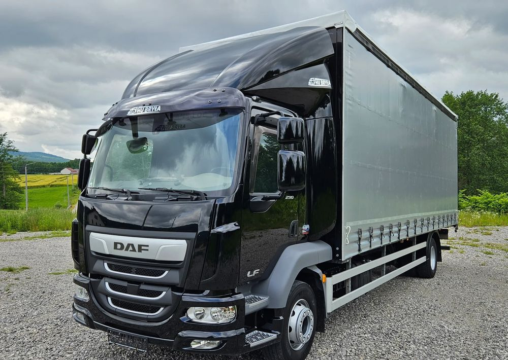 Plachtový nákladní auto DAF LF 290 / WINDA / 16TON DMC / FIRANKA / AUTOMAT / JEDEN WŁAŚCICIE  / EURO 6 / 2019 / SPROWADZONY / 20PALET / NISKI PRZEBIEG / DUŻA ŁADOWNOŚĆ / JAK NOWY: obrázek 9