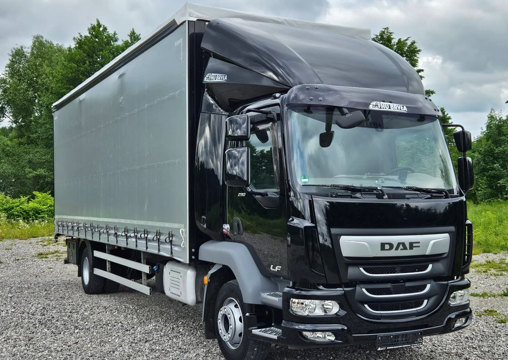 DAF LF 290 / WINDA / 16TON DMC / FIRANKA / AUTOMAT / JEDEN WŁAŚCICIE / EURO 6 / 2019 / SPROWADZONY / 20PALET / NISKI PRZEBIEG / DUŻA ŁADOWNOŚĆ / JAK NOWY - Plachtový nákladní auto: obrázek 3 DAF LF 290 / WINDA / 16TON DMC / FIRANKA / AUTOMAT / JEDEN WŁAŚCICIE / EURO 6 / 2019 / SPROWADZONY / 20PALET / NISKI PRZEBIEG / DUŻA ŁADOWNOŚĆ / JAK NOWY - Plachtový nákladní auto: obrázek 3