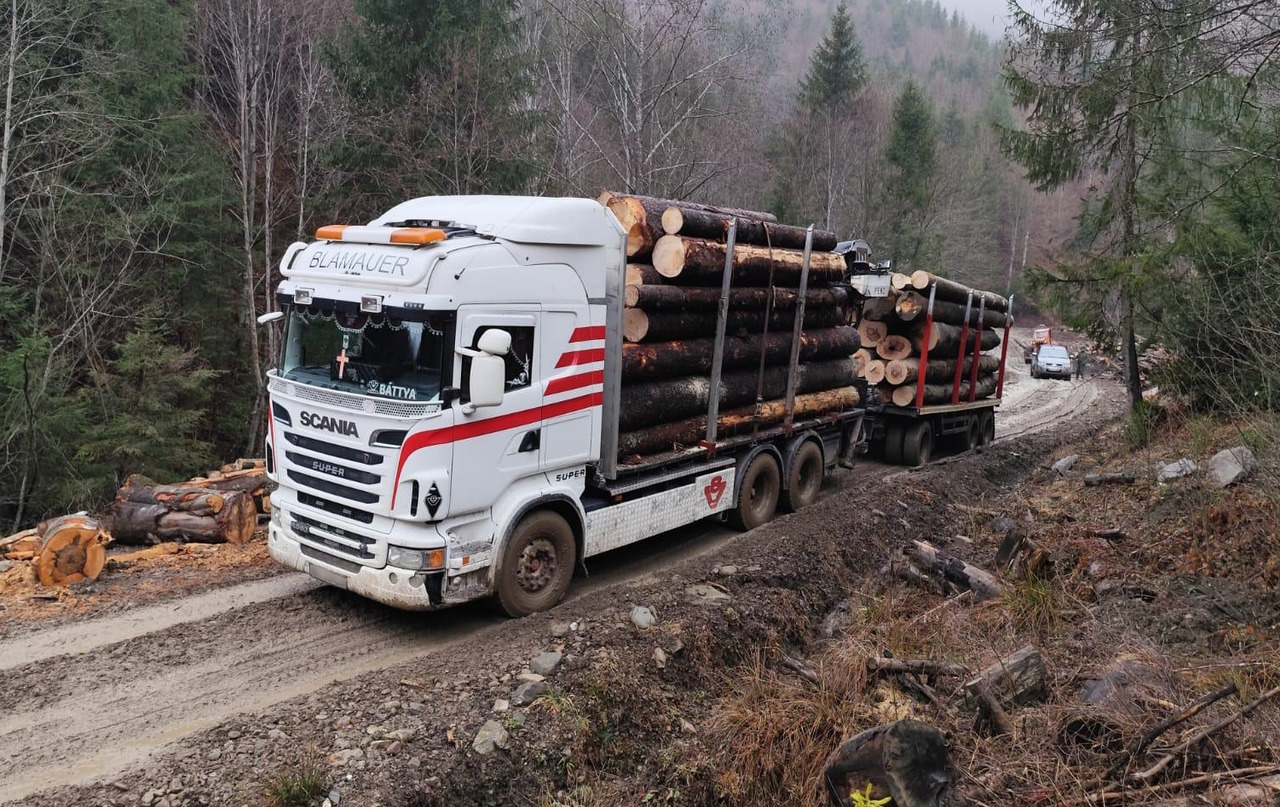 SCANIA R560 V8 - Lesovůz, Auto s hydraulickou rukou: obrázek 2 SCANIA R560 V8 - Lesovůz, Auto s hydraulickou rukou: obrázek 2