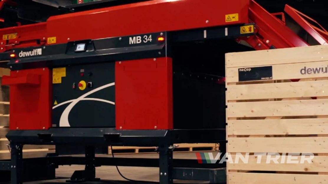 Miedema MB34 Box filler - Dopravník: obrázek 5 Miedema MB34 Box filler - Dopravník: obrázek 5