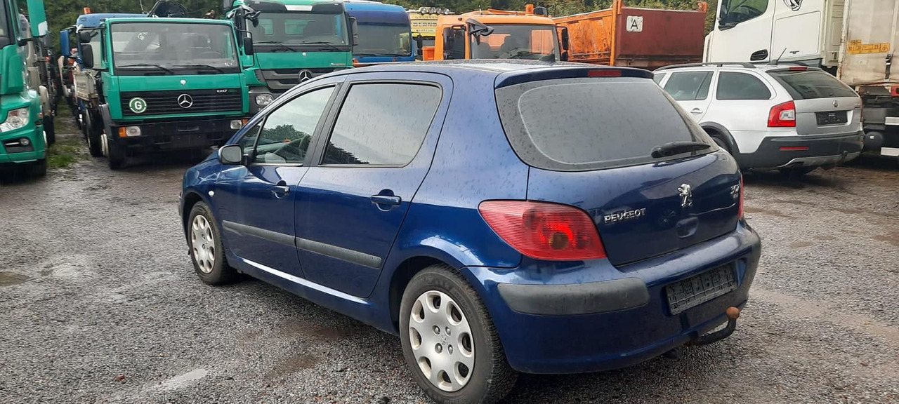 Peugeot 307 Grand Filou - Sedan: obrázek 1 Peugeot 307 Grand Filou - Sedan: obrázek 1