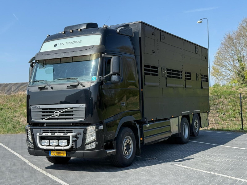 Volvo FH 13.540 STEERING, RETARDER, DOUBLE FLOOR, LIVE STOCK. - Přepravník zvířat: obrázek 1 Volvo FH 13.540 STEERING, RETARDER, DOUBLE FLOOR, LIVE STOCK. - Přepravník zvířat: obrázek 1