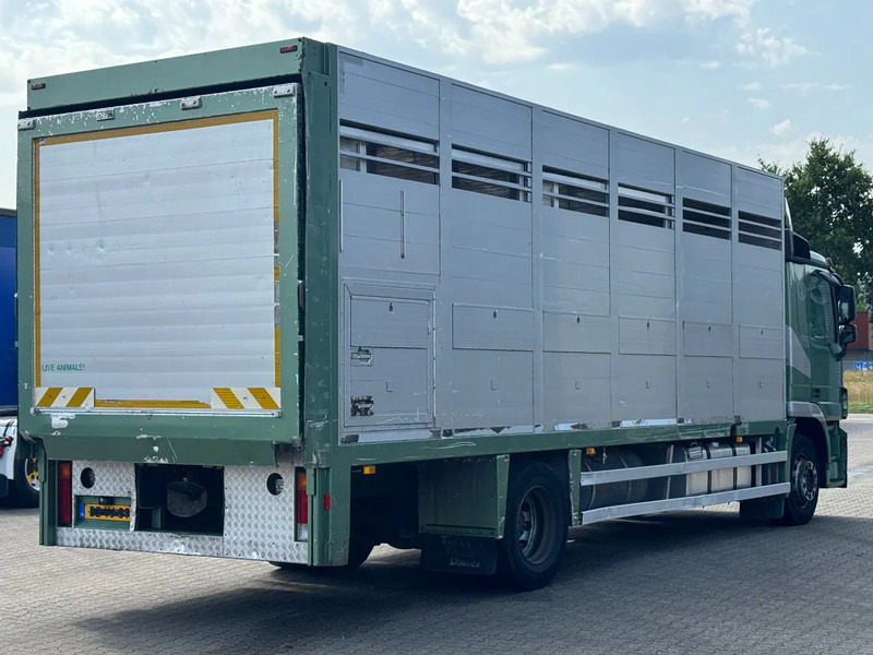 Mercedes-Benz Actros 1832 L 1 - 2 Stock Animal Transport - Přepravník zvířat: obrázek 3 Mercedes-Benz Actros 1832 L 1 - 2 Stock Animal Transport - Přepravník zvířat: obrázek 3