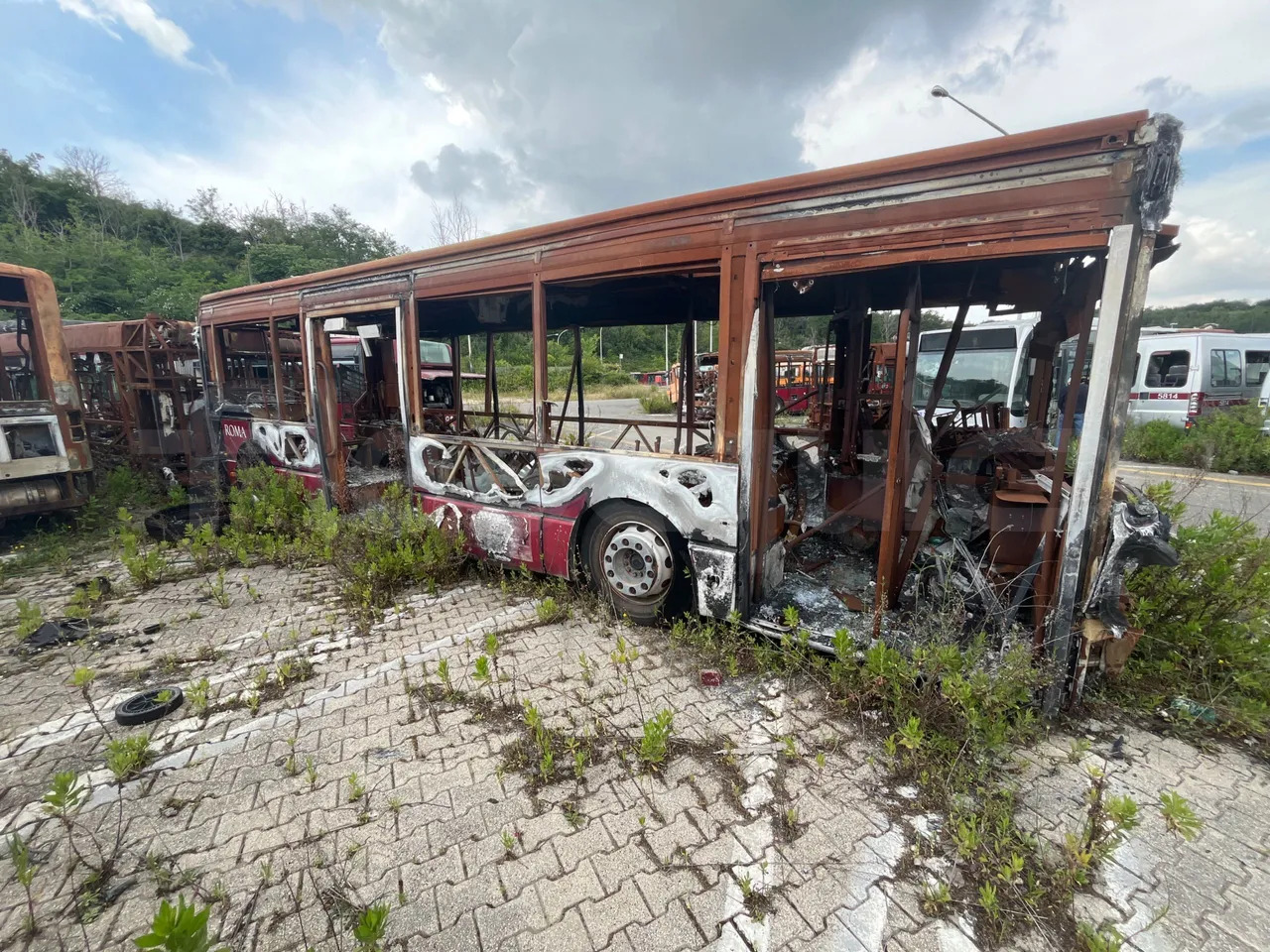 Bundle di 7 mezzi Iveco - Citelis Iveco - Citelis Iveco - Citelis Iveco - Citelis Iveco - Citelis Iveco - Citelis Iveco - Citelis - Městský autobus: obrázek 3 Bundle di 7 mezzi Iveco - Citelis Iveco - Citelis Iveco - Citelis Iveco - Citelis Iveco - Citelis Iveco - Citelis Iveco - Citelis - Městský autobus: obrázek 3
