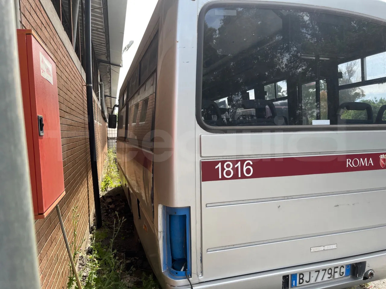 Iveco Cacciamali - Školní autobus: obrázek 4 Iveco Cacciamali - Školní autobus: obrázek 4