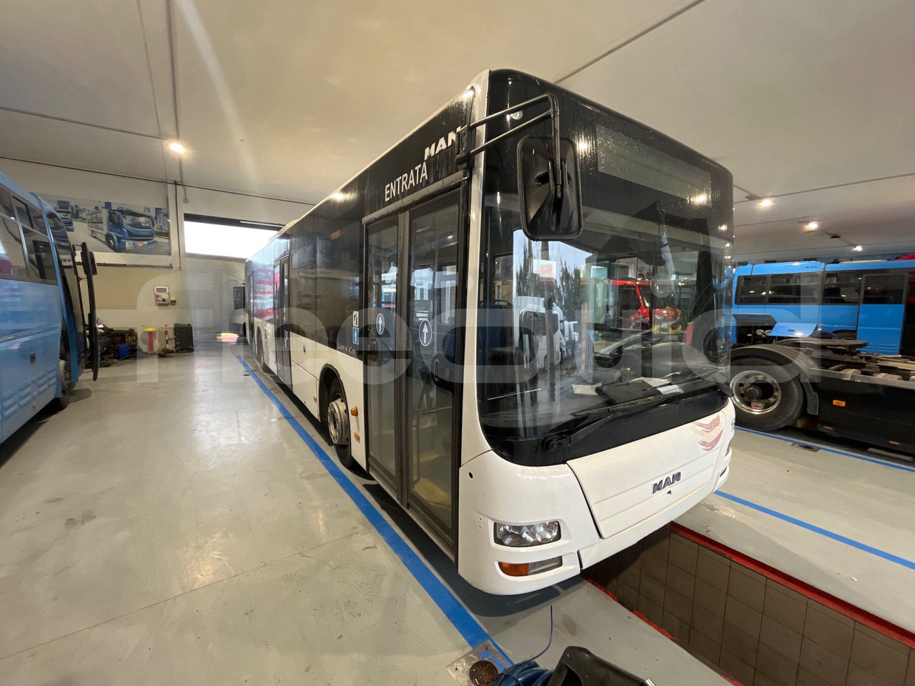 Man A37 - Městský autobus: obrázek 1 Man A37 - Městský autobus: obrázek 1