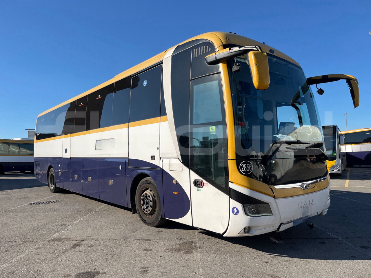 Man Lion's Coach - Turistický autobus: obrázek 1 Man Lion's Coach - Turistický autobus: obrázek 1
