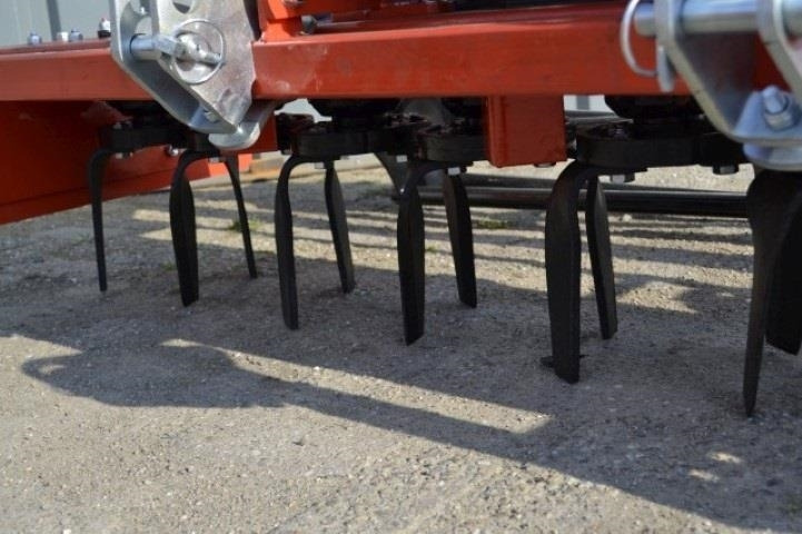 - - - boxer - Brána: obrázek 4 - - - boxer - Brána: obrázek 4