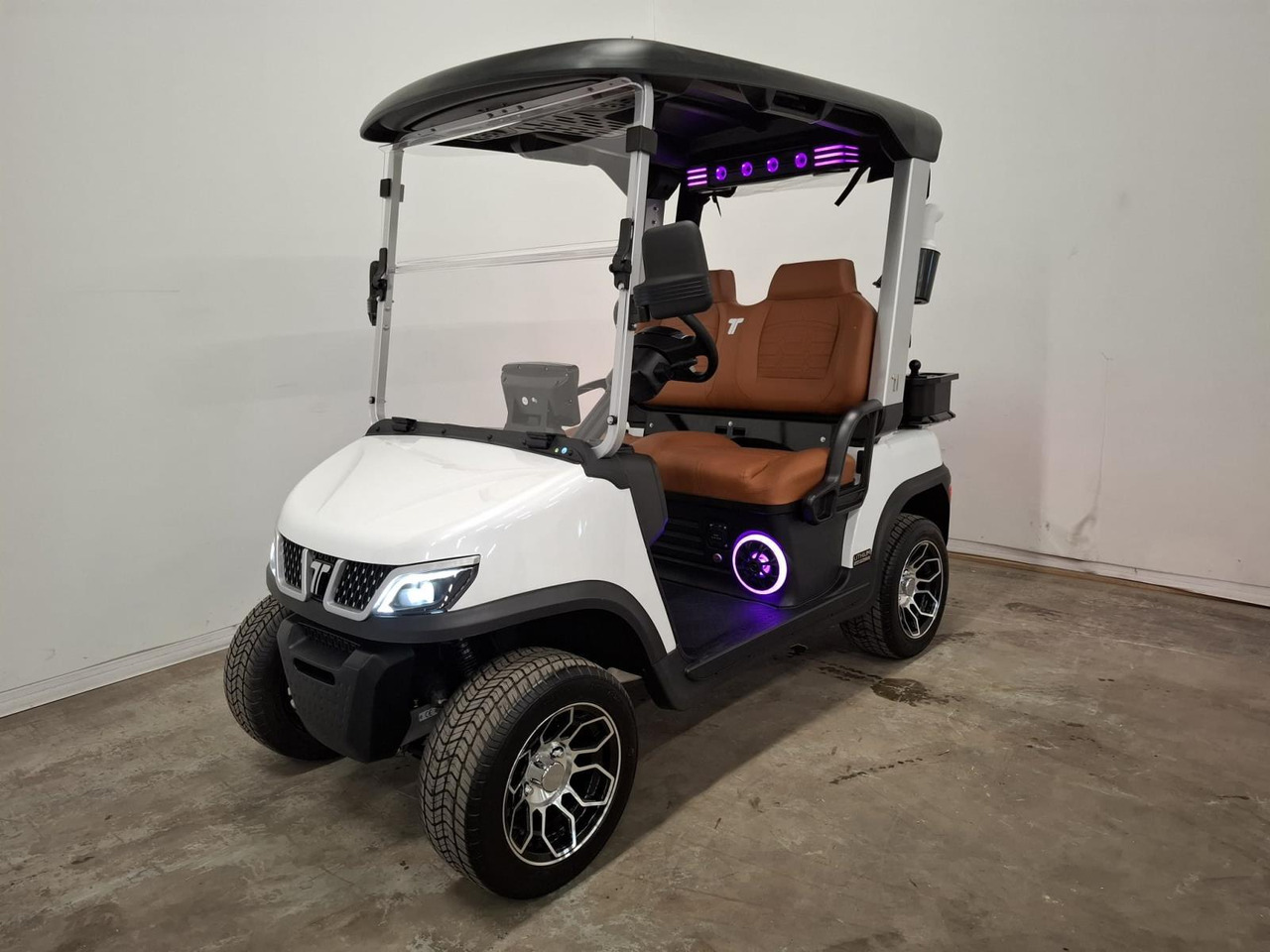 BSN TARA Elektrische 2-zits Golfcar 2025 - Golfový vozík: obrázek 1 BSN TARA Elektrische 2-zits Golfcar 2025 - Golfový vozík: obrázek 1