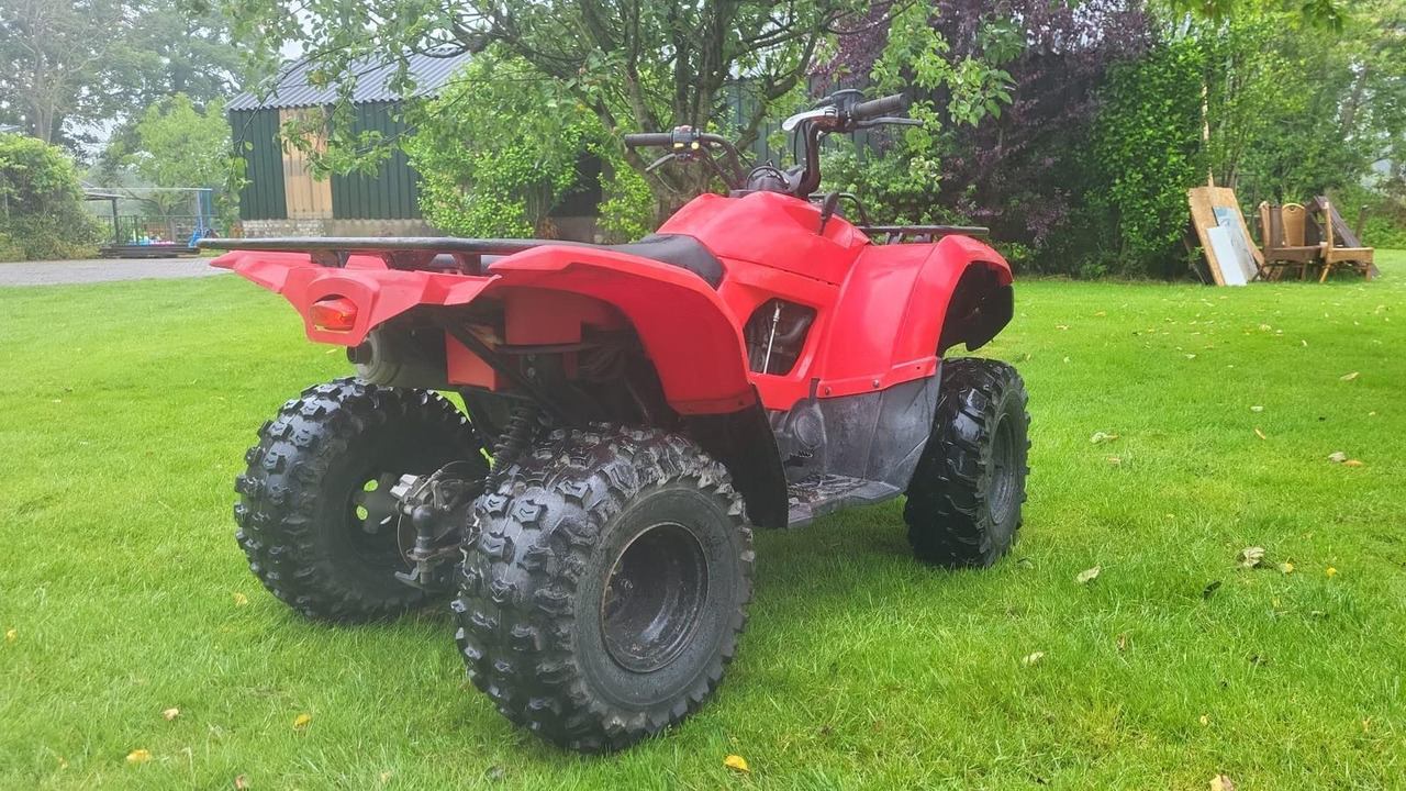 Yamaha Grizzly 300 - Čtyřkolka: obrázek 4 Yamaha Grizzly 300 - Čtyřkolka: obrázek 4