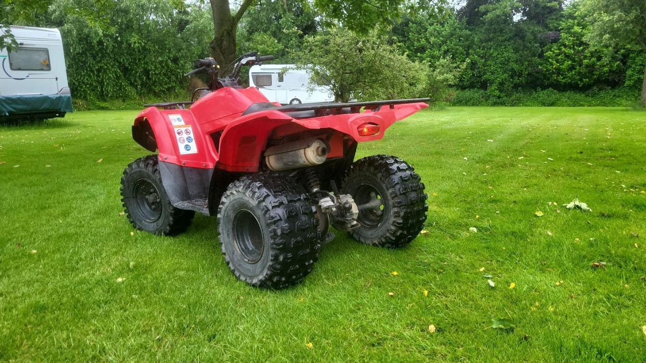 Yamaha Grizzly 300 - Čtyřkolka: obrázek 3 Yamaha Grizzly 300 - Čtyřkolka: obrázek 3