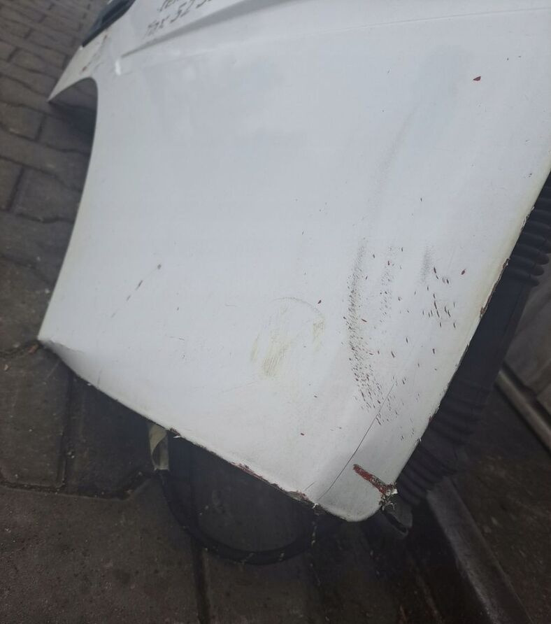 Dveře a díly pro Nákladní auto Volvo FM: obrázek 7