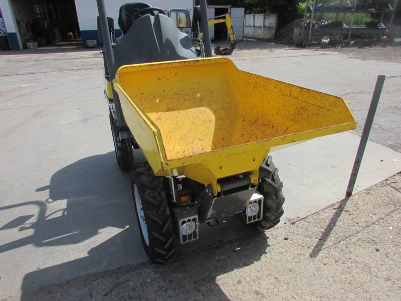 WACKER NEUSON 1001 Minidumper 19.000 netto Hochkippmulde - Dampr: obrázek 2 WACKER NEUSON 1001 Minidumper 19.000 netto Hochkippmulde - Dampr: obrázek 2