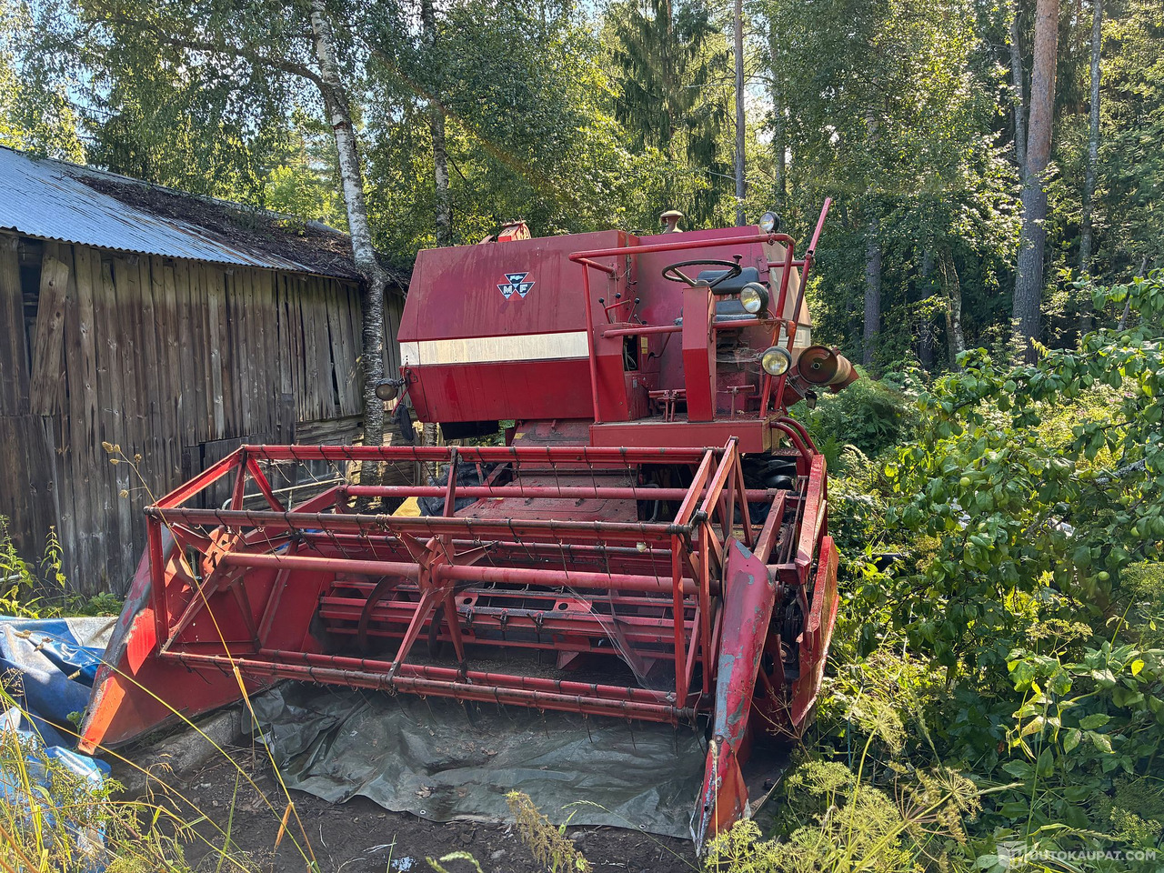 Massey Ferguson 186 Leikkuupuimuri, Kangasala - Zemědělská technika: obrázek 4 Massey Ferguson 186 Leikkuupuimuri, Kangasala - Zemědělská technika: obrázek 4