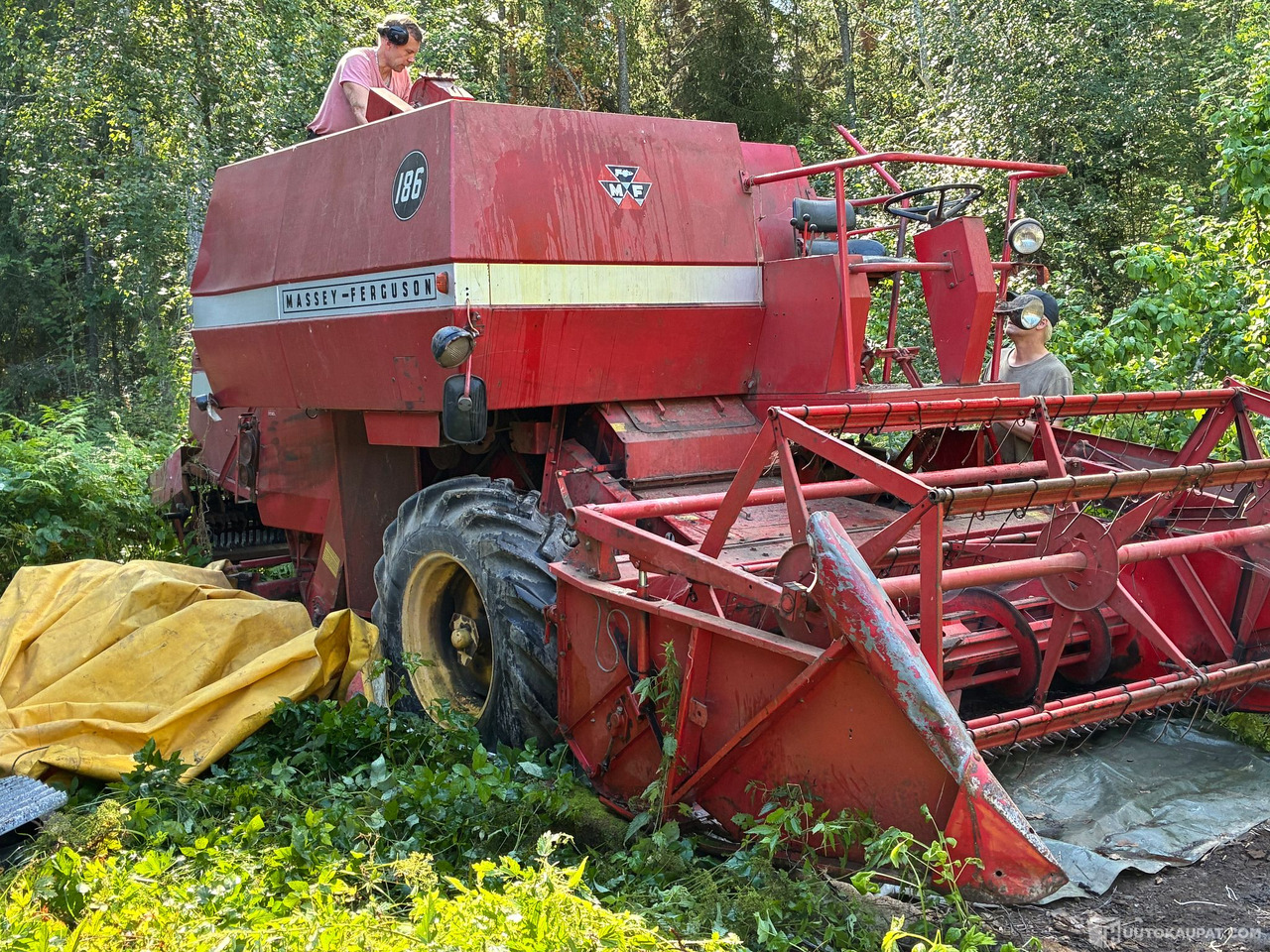 Massey Ferguson 186 Leikkuupuimuri, Kangasala - Zemědělská technika: obrázek 3 Massey Ferguson 186 Leikkuupuimuri, Kangasala - Zemědělská technika: obrázek 3
