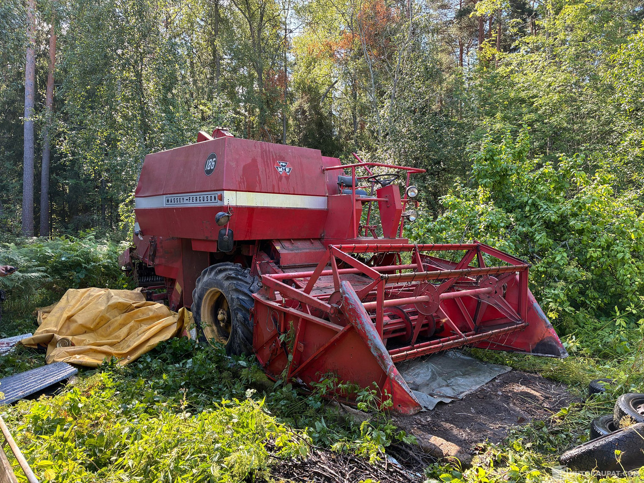 Massey Ferguson 186 Leikkuupuimuri, Kangasala - Zemědělská technika: obrázek 1 Massey Ferguson 186 Leikkuupuimuri, Kangasala - Zemědělská technika: obrázek 1