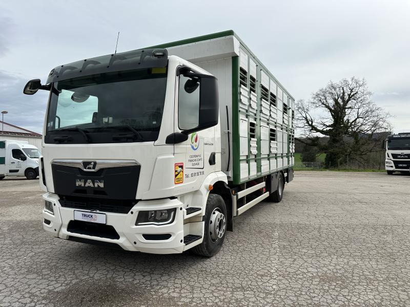 MAN M 90 15.290 TGM - Přepravník zvířat: obrázek 1 MAN M 90 15.290 TGM - Přepravník zvířat: obrázek 1