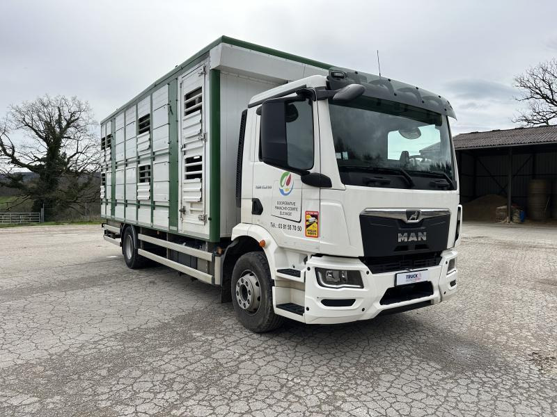 MAN M 90 15.290 TGM - Přepravník zvířat: obrázek 2 MAN M 90 15.290 TGM - Přepravník zvířat: obrázek 2