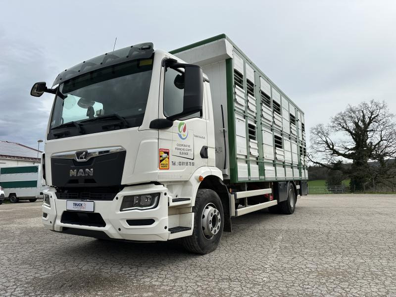 MAN M 90 15.290 TGM - Přepravník zvířat: obrázek 3 MAN M 90 15.290 TGM - Přepravník zvířat: obrázek 3