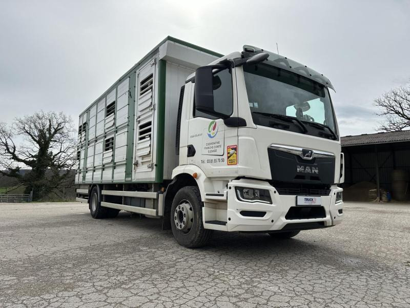 MAN M 90 15.290 TGM - Přepravník zvířat: obrázek 4 MAN M 90 15.290 TGM - Přepravník zvířat: obrázek 4