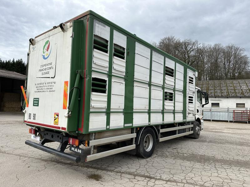 MAN M 90 15.290 TGM - Přepravník zvířat: obrázek 5 MAN M 90 15.290 TGM - Přepravník zvířat: obrázek 5