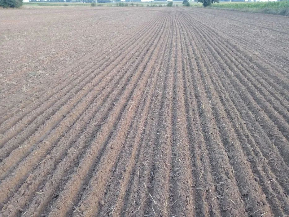 Lemken Karat 9/500 agregat bezorkowy - Stroj na obdělávání půdy: obrázek 2 Lemken Karat 9/500 agregat bezorkowy - Stroj na obdělávání půdy: obrázek 2