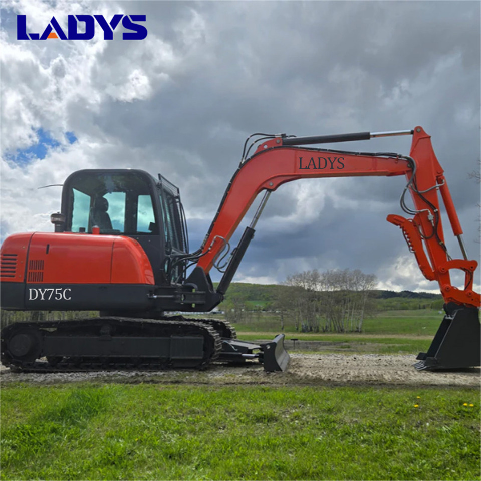 LADYS DY75C Small Excavator Euro 5/Epa Yanmar Engine Small Excavator Crawler Excavator For Sale - Pásové rýpadlo: obrázek 1 LADYS DY75C Small Excavator Euro 5/Epa Yanmar Engine Small Excavator Crawler Excavator For Sale - Pásové rýpadlo: obrázek 1