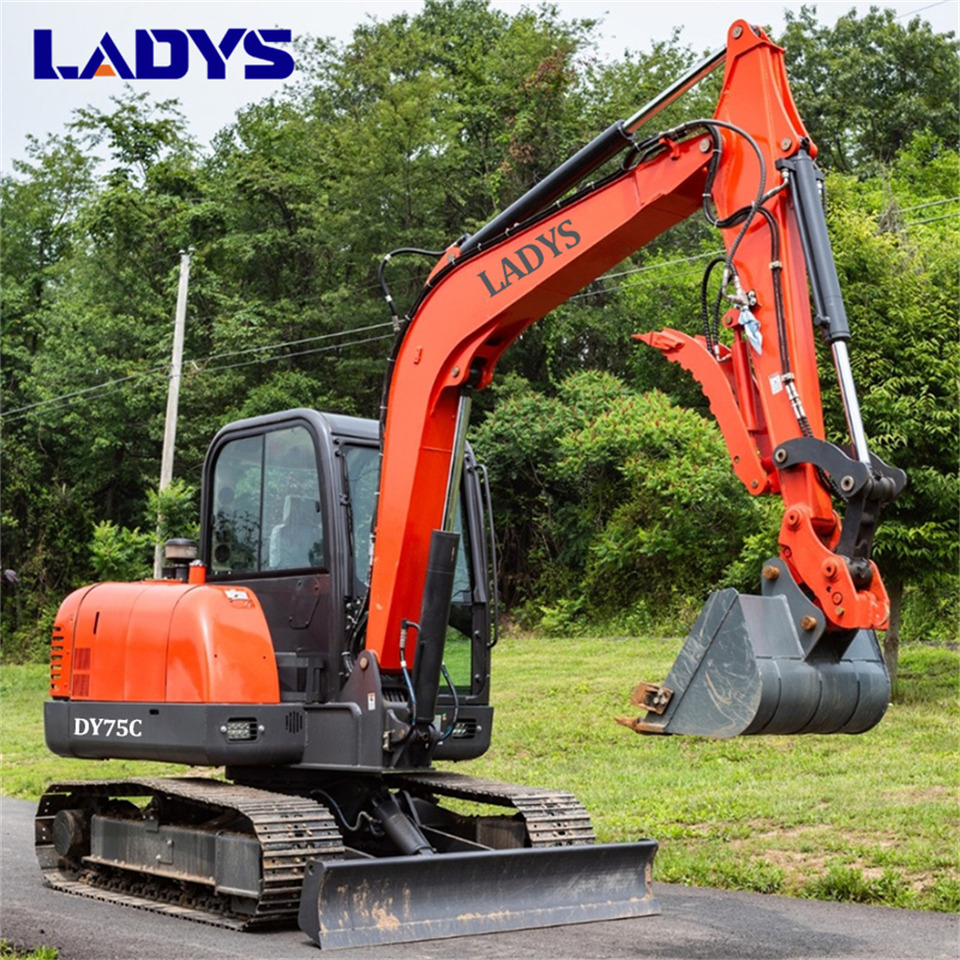LADYS DY75C Small Excavator Euro 5/Epa Yanmar Engine Small Excavator Crawler Excavator For Sale - Pásové rýpadlo: obrázek 4 LADYS DY75C Small Excavator Euro 5/Epa Yanmar Engine Small Excavator Crawler Excavator For Sale - Pásové rýpadlo: obrázek 4