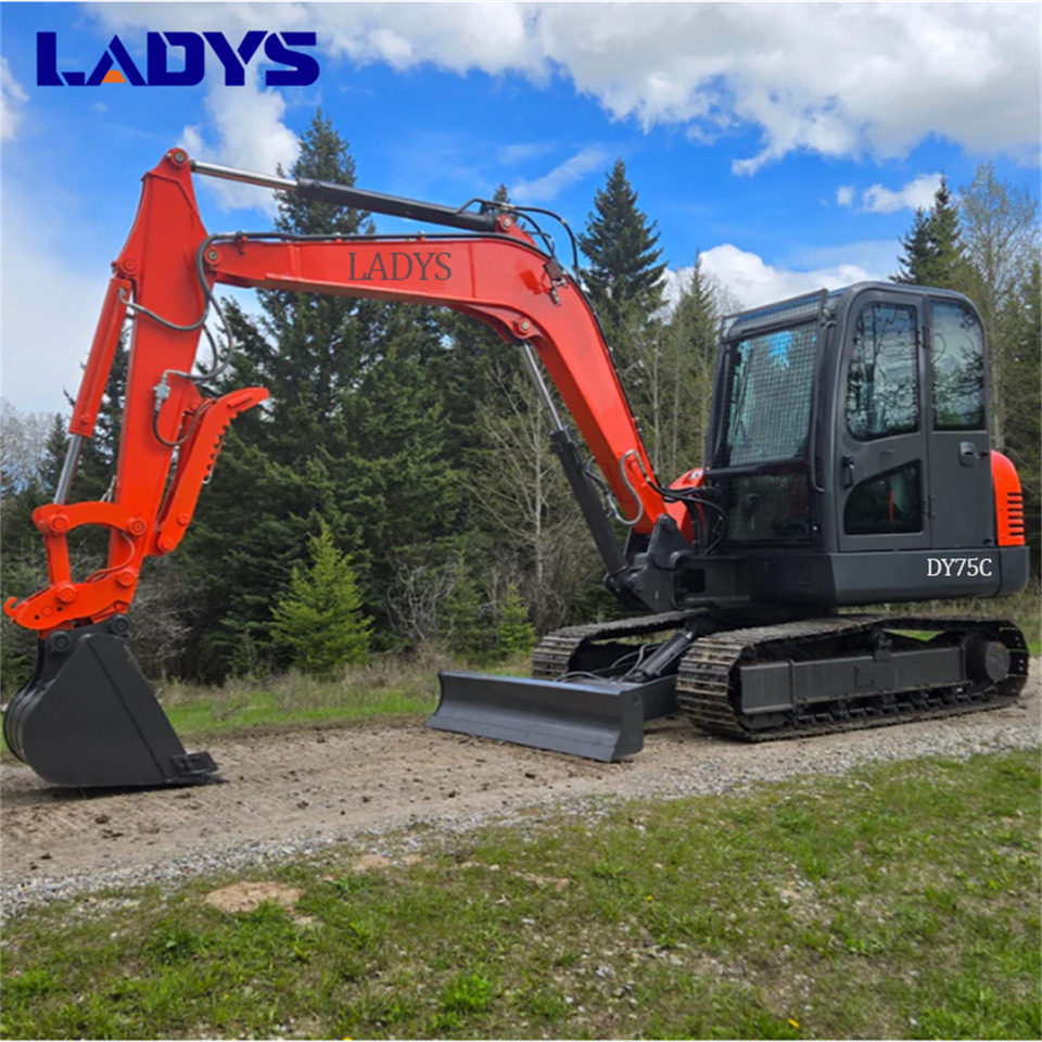 LADYS DY75C Small Excavator Euro 5/Epa Yanmar Engine Small Excavator Crawler Excavator For Sale - Pásové rýpadlo: obrázek 2 LADYS DY75C Small Excavator Euro 5/Epa Yanmar Engine Small Excavator Crawler Excavator For Sale - Pásové rýpadlo: obrázek 2