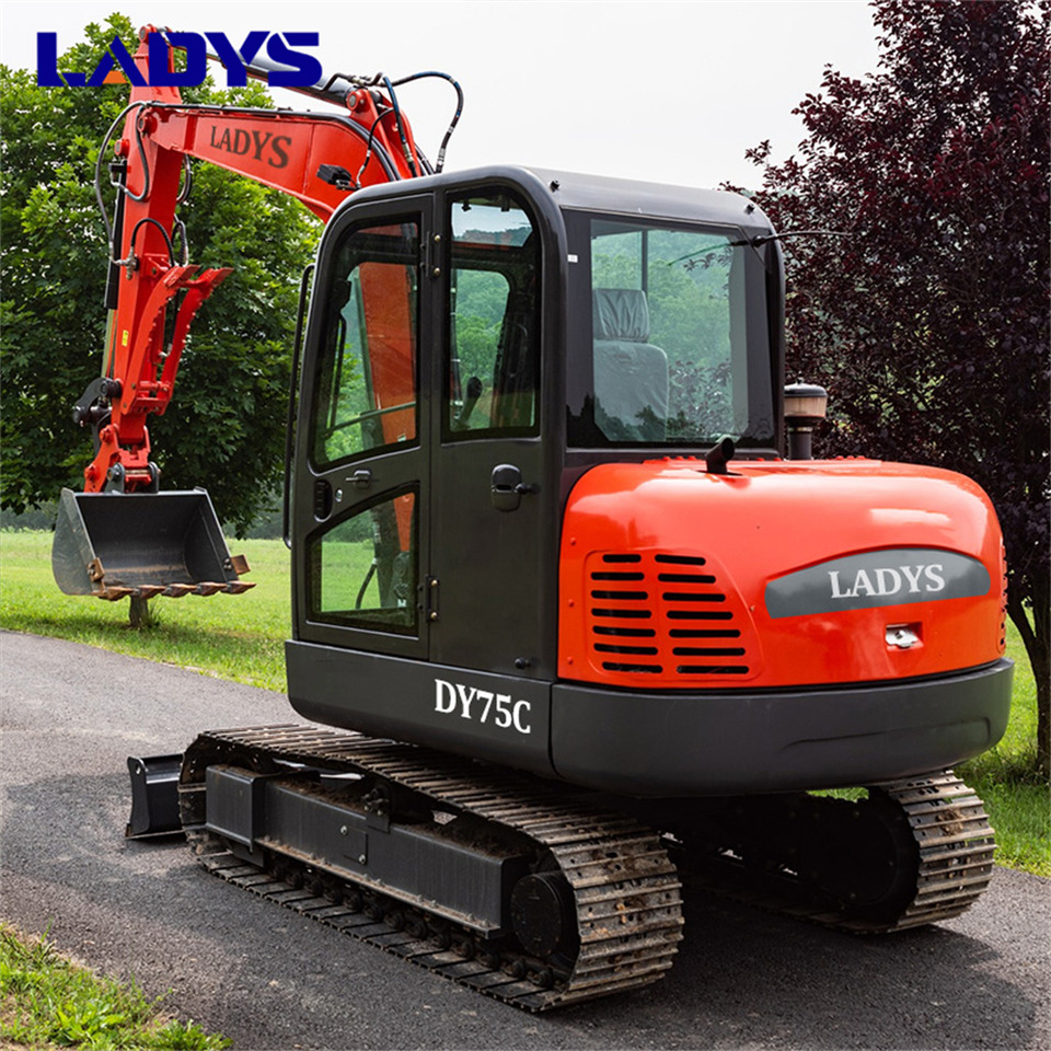 LADYS DY75C Small Excavator Euro 5/Epa Yanmar Engine Small Excavator Crawler Excavator For Sale - Pásové rýpadlo: obrázek 5 LADYS DY75C Small Excavator Euro 5/Epa Yanmar Engine Small Excavator Crawler Excavator For Sale - Pásové rýpadlo: obrázek 5