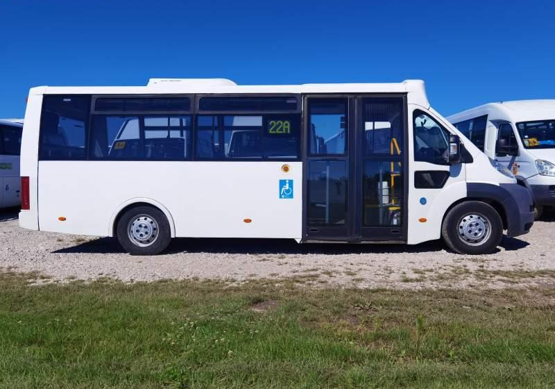 Městský autobus Fiat Ducato miejski, przewóz osób niepełnosprawnych: obrázek 6