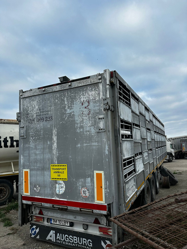PEZZAIOLLI Animal Transport Semi-trailer - Návěs na přepravu zvířat: obrázek 3 PEZZAIOLLI Animal Transport Semi-trailer - Návěs na přepravu zvířat: obrázek 3